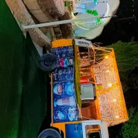 فولکس واگن