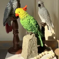 دکوری طوطی جذاب