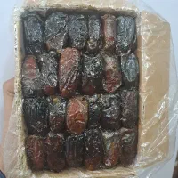 خرمای نگاری