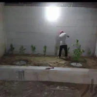باغبانی و هرس درخت|خدمات باغبانی و درختکاری|بندرعباس, |دیوار
