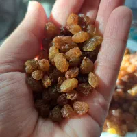 کشمش قوچان|خوردنی و آشامیدنی|مشهد, ایثارگران|دیوار