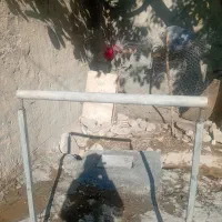 دار کول قالی