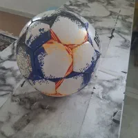 پرنده