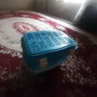 سبد پیک نیک|ظروف نگهدارنده، پلاستیکی، یک‌بارمصرف|مشهد, موعود|دیوار