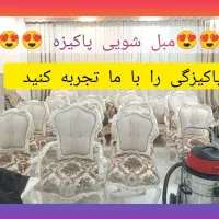 مبل شویی پاکیزه‌موکت پشتی تخت خواب‌ با همه فرق دار
