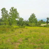 زمین ۳۵۰ متری در تاپ لوکیشن روستای ییلاقی فشند