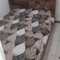 تخت|تخت و سرویس خواب|رشت, حمیدیان|دیوار