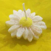 شمع سازی|صنایع دستی و سایر لوازم تزئینی|بندر گناوه, |دیوار