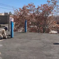 اوستابنا|خدمات پیشه و مهارت|تربت جام, جامرود|دیوار