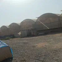 اجاره گلخانه شهرری|اجارهٔ دفتر صنعتی، کشاورزی، تجاری|ری, فیروزآباد|دیوار