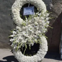 تاجگل تر.حیم تبر.یک نما.یشگاهی تسویه بعد تحویل