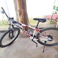 دوچرخه گالانت سایز 29