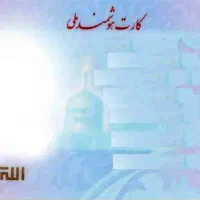 کارت ملی پیداشده