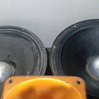 یه جفت میدرنج ۱۲