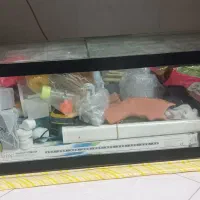 آکواریوم|ماهی|اصفهان, برازنده|دیوار