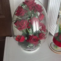 دوتا گل کادویی نو