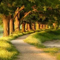 هدیه ۱۷۰هزار تومانی همیان