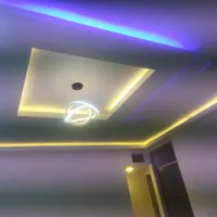 برق کار همه فن حریف