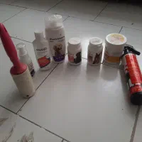 وسایلی کلی پت هر چیزی که نیاز داشته باشید