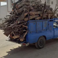 هرس و چوب بری