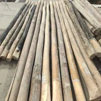 چوب سقفی و پرواز