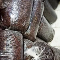 پخش دان قهوه کلاسیک(عمده) (جزئی)|عمدهفروشی|کرج, شهرک طالقانی|دیوار