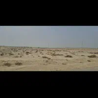 زمین کلنگی|فروش زمین و ملک کلنگی|درگهان, |دیوار