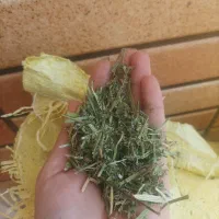 یونجه غذای حیوانات