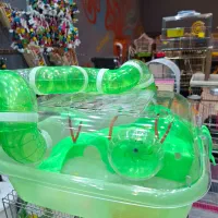 باکس جزیره ای همستر|لوازم جانبی حیوانات|قم, حکمت شمالی|دیوار