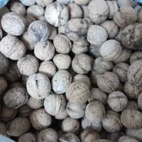 گردو باپوست قهوه ای 16 کیلو به قیمت 335 هزار