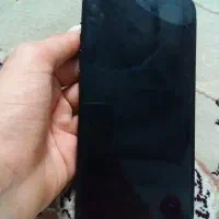 دوازده پرومکس اقیانوسی