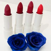 بالم لب گیاهی آیسان