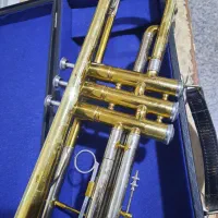 ترومپت لارک ۴۰۱۵|سازهای بادی|برخوار, |دیوار