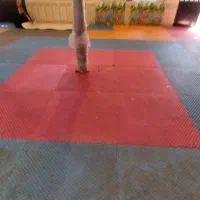 اجاره سالن ورزشی بانوان متراژ 120کف تاتومی|اجارهٔ کوتاهمدت دفتر کار و فضای آموزشی|شیراز, تندگویان|دیوار