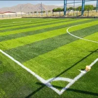 پیمانکاری، چمن فوتبالی در جنوب کشور|مصالح و تجهیزات ساختمان|شیراز, بازار|دیوار