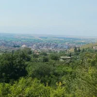 زمین باغی