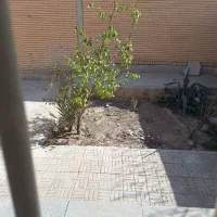 منزل دو خوابه محله ۱ صفاییه