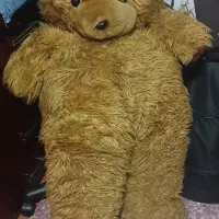 خرس بزرگ عروسکی و کتونی والیبال سایز۴۰
