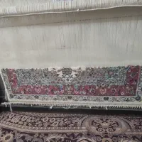 قالی زرع ونیم بافته شده|فرش|کاشان, کارگر|دیوار