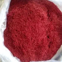 کرمانشاه ایران|بدلیجات|کرمانشاه, |دیوار