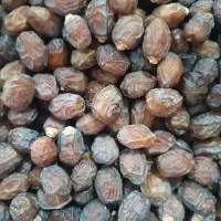 ریزه خاصویی درجه یک