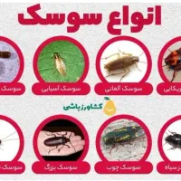 سمپاشی منزل و باغشهری