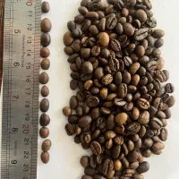 قهوه تازه رست شده|کافی‌شاپ و رستوران|بندر انزلی, ژاندارمری|دیوار