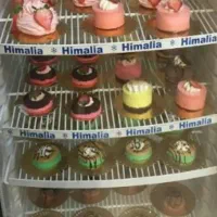 پخت انواع کیکهای کافیشاپ و کوکی|کافیشاپ و رستوران|تهران, جوادیه تهرانپارس|دیوار