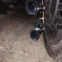 بوق پژویی‌اصل