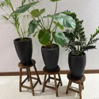 گلدان گل آپارتمان