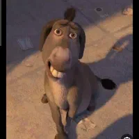 کارتن شرک و رفقا