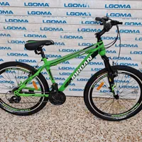 شهر دوچرخه با تنوع بالا|دوچرخه، اسکیت، اسکوتر|شیراز, محراب|دیوار