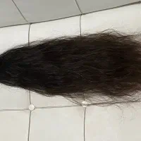 فروش مو طبیعی سرچیده شده نصب مو رایگان در شهر نور|خدمات آرایشگری و زیبایی|نور, |دیوار