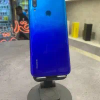 Y7 2019